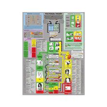 Load image into Gallery viewer, Comprehensive Polyvagal Chart - 30" X 40" Wall Chart