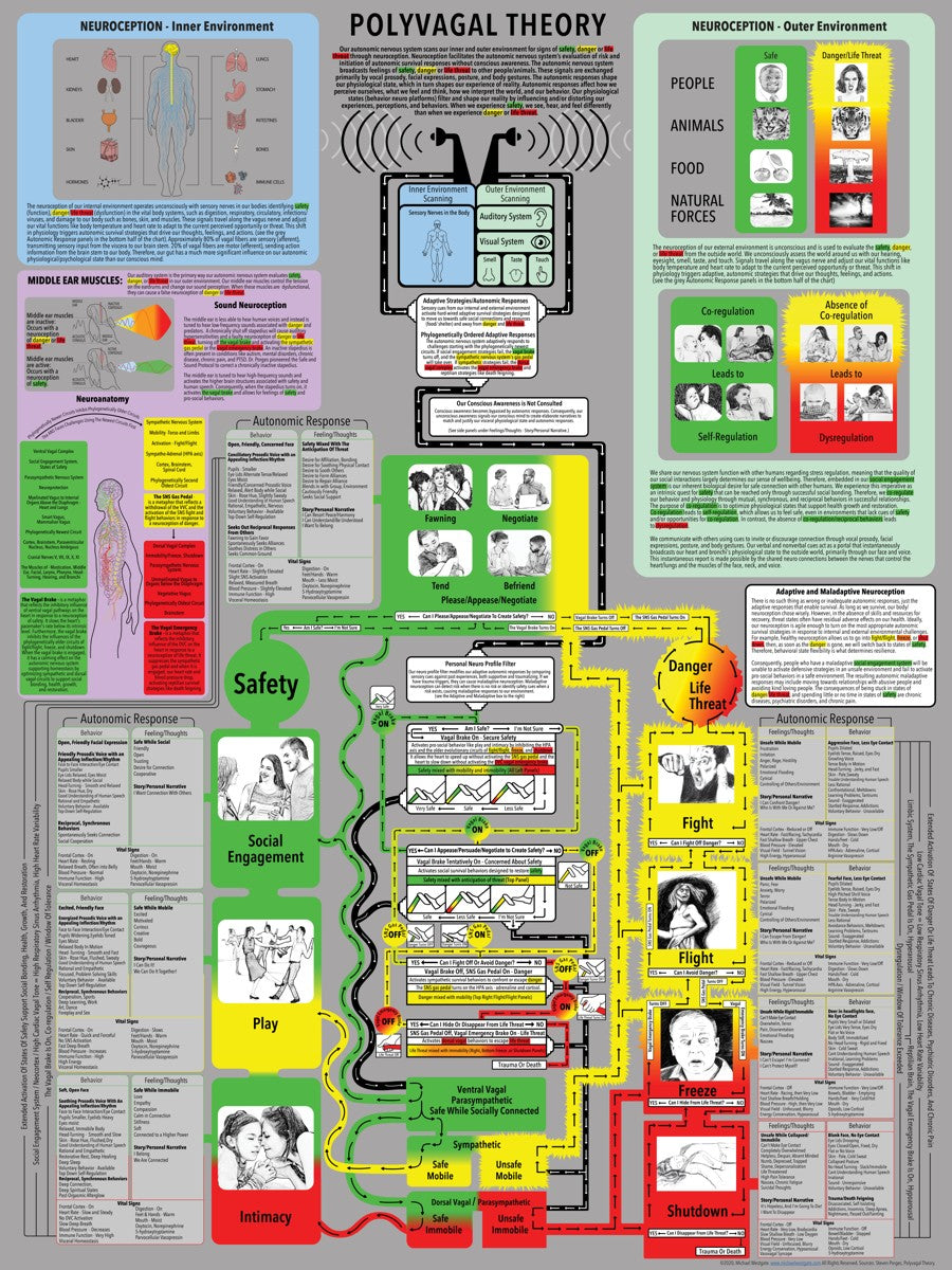 Comprehensive Polyvagal Chart - 30