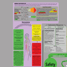 Load image into Gallery viewer, Comprehensive Polyvagal Chart - 30&quot; X 40&quot; Wall Chart
