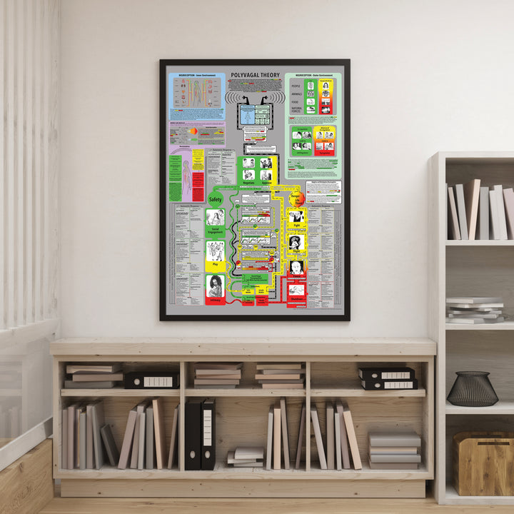 Comprehensive Polyvagal Chart - 30