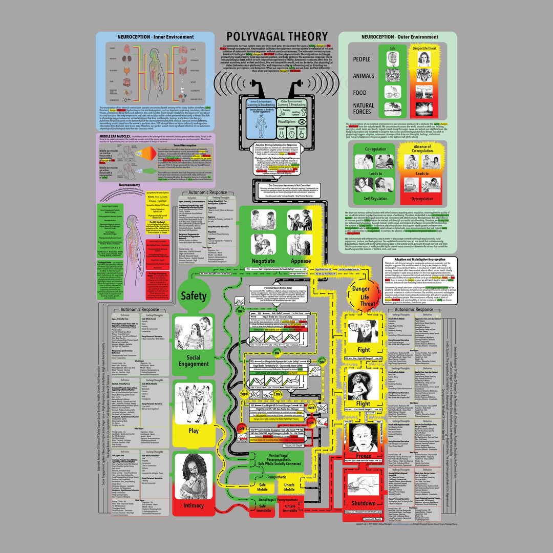 Comprehensive Polyvagal Chart - Digital PDF Download With Life Time Up ...